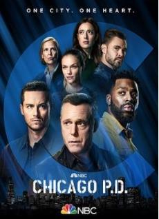 芝加哥警署第九季